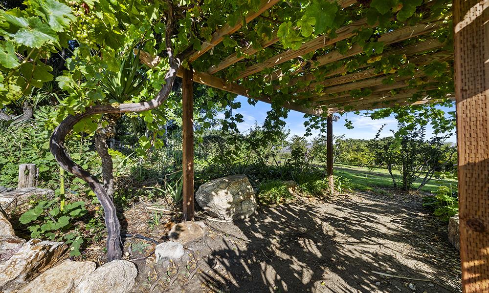 547 Mission Vineyard Road Hollister, CA 95023 - Photo 13 of 15