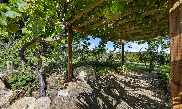 $4,350,000 | 547 Mission Vineyard Road, San Juan Bautista, CA 95045