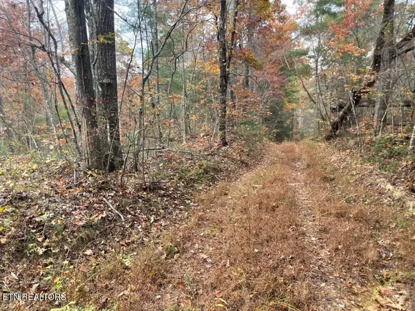 $200,000 | Gunter Place, Sunbright, TN 37872