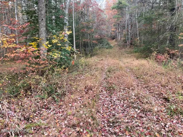 $200,000 | Gunter Place, Sunbright, TN 37872