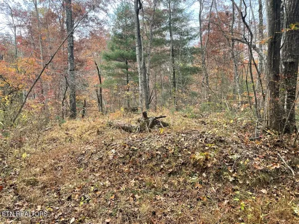 $200,000 | Gunter Place, Sunbright, TN 37872