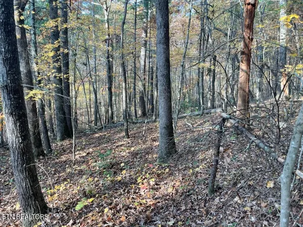 $200,000 | Gunter Place, Sunbright, TN 37872