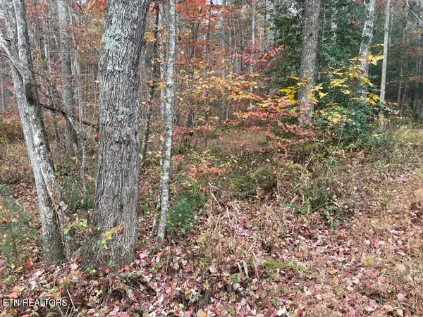 $200,000 | Gunter Place, Sunbright, TN 37872