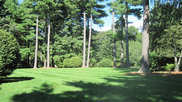 20 Field Road Medway, MA 02053 - Photo 2 of 23 Gallery Image 2