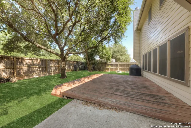 a view of backyard with tree s