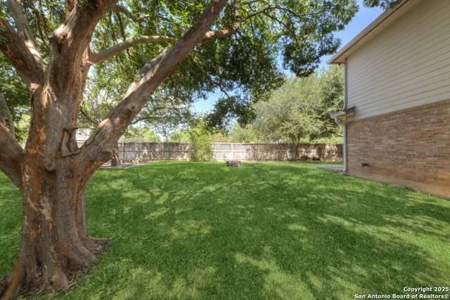 a view of green field with a tree
