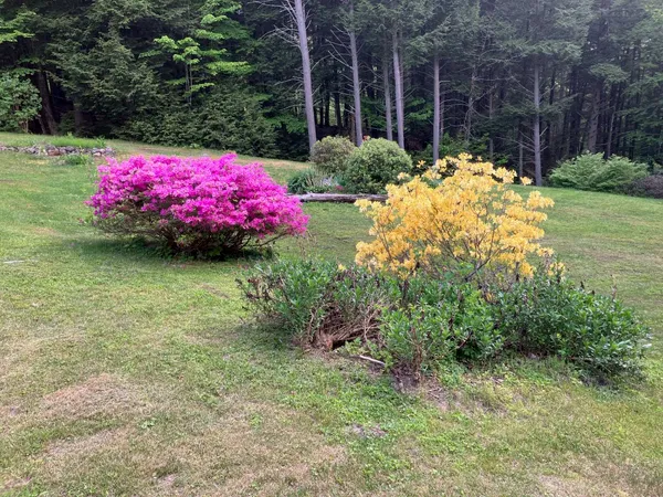 $639,900 | 126 Hobart Hill Road, Hebron, NH 03241