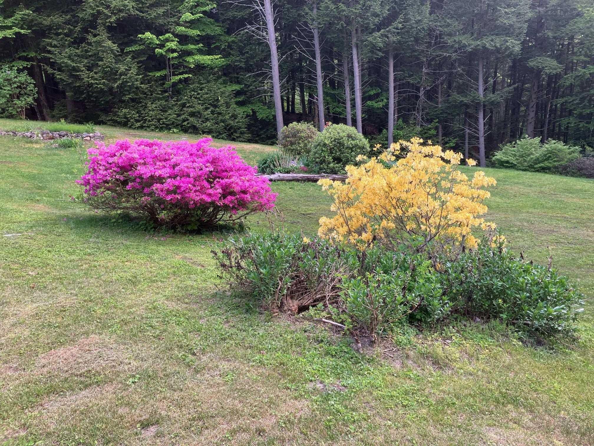 126 Hobart Hill Road Hebron, NH 03241 - Photo 43 of 47