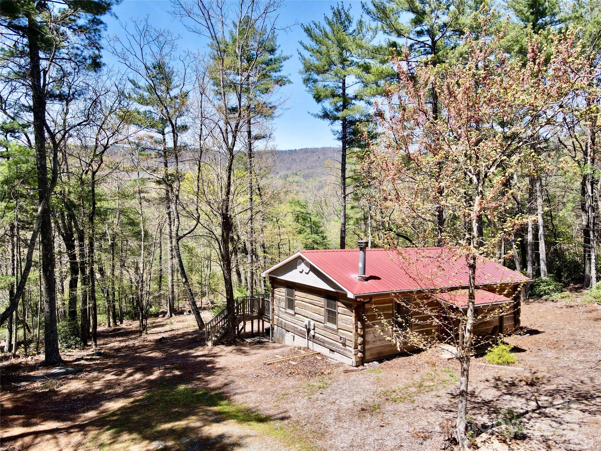 393 Grassy Ridge Lane Purlear, NC 28665 - Photo 3 of 39 Gallery Image 3