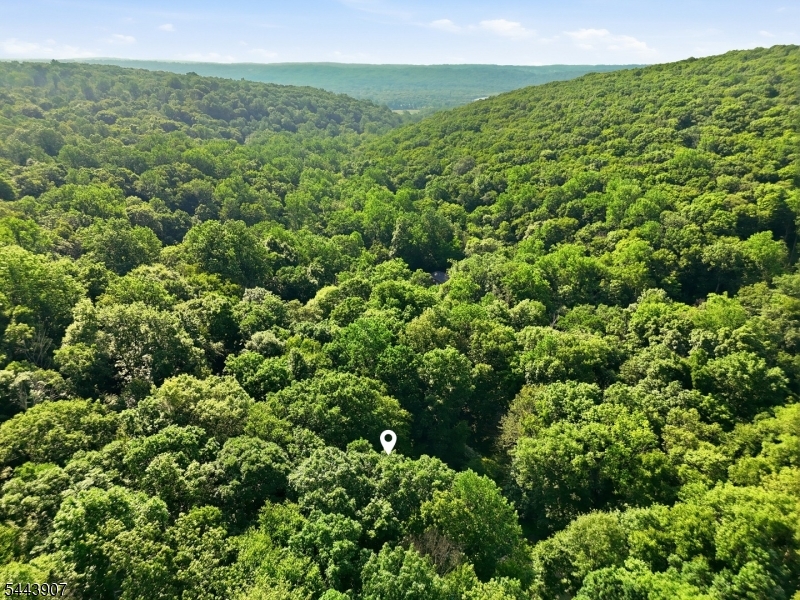 78 River Road Flanders, NJ 07836 - Photo 45 of 50 Gallery Image 45