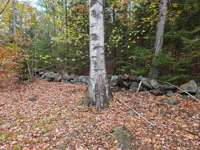 $89,000 | Mr11-l35 Mr11-l35 Burbank Hill Road, Avon, ME 04966