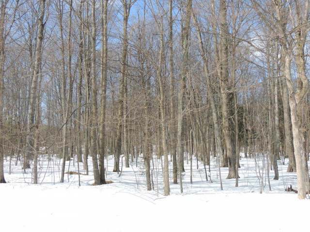 N1466 Cth Road Antigo, WI 54409 - Photo 25 of 29 Gallery Image 25