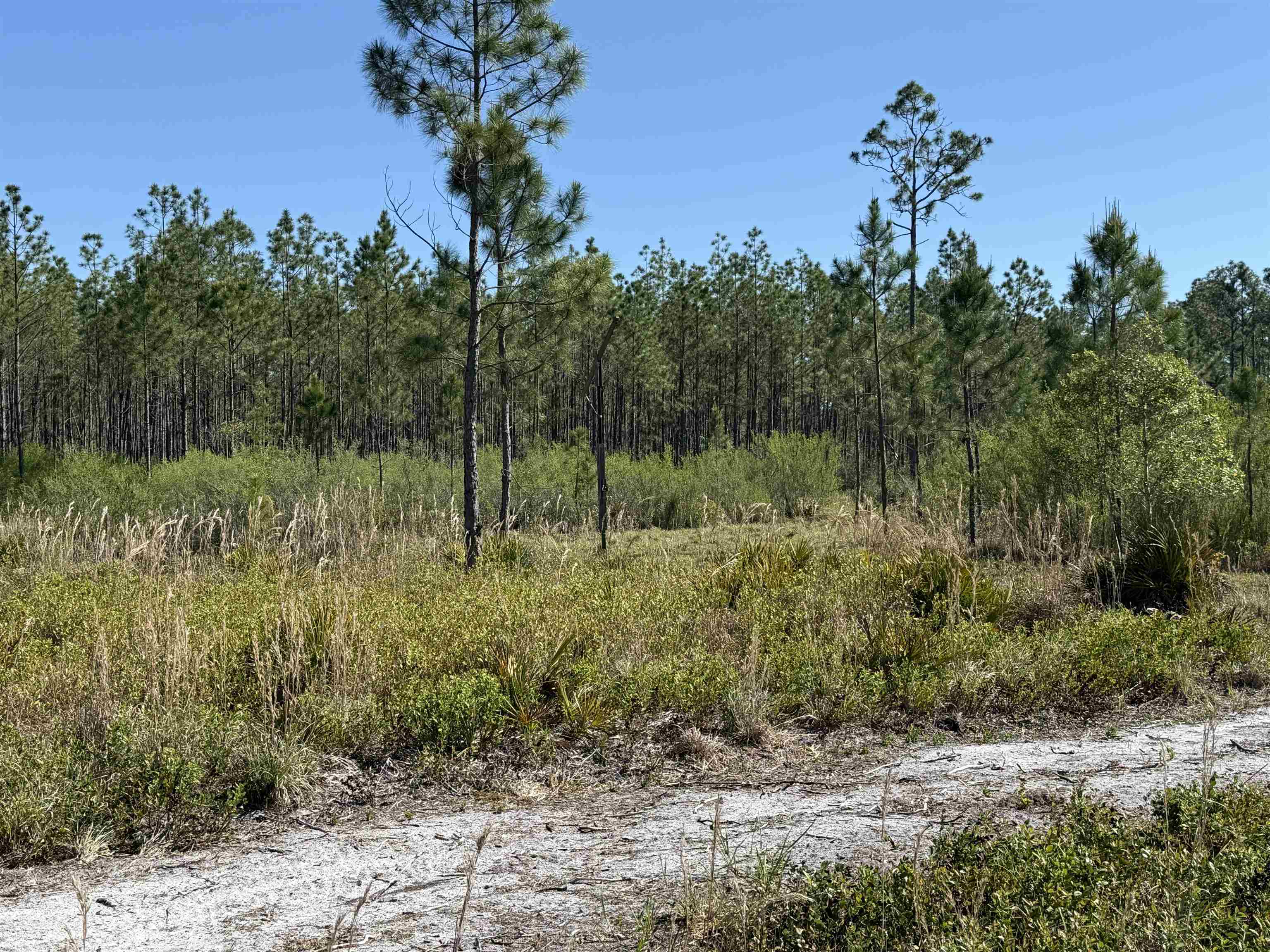0 Madison Main Line Road Perry, FL 32347 - Photo 34 of 50