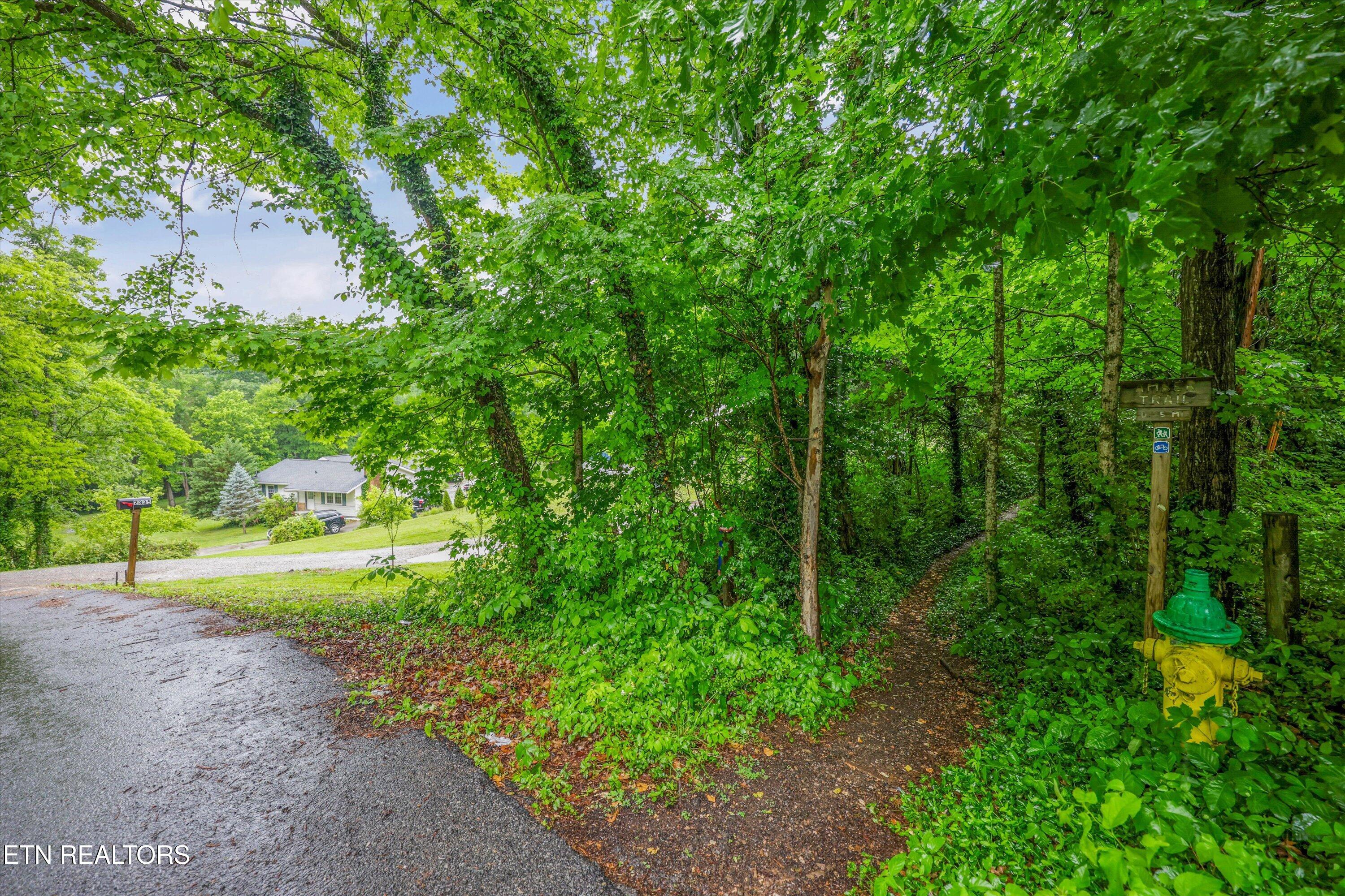 2335 Southside Road Knoxville, TN 37920 - Photo 36 of 39 35-2335 Southside Rd36