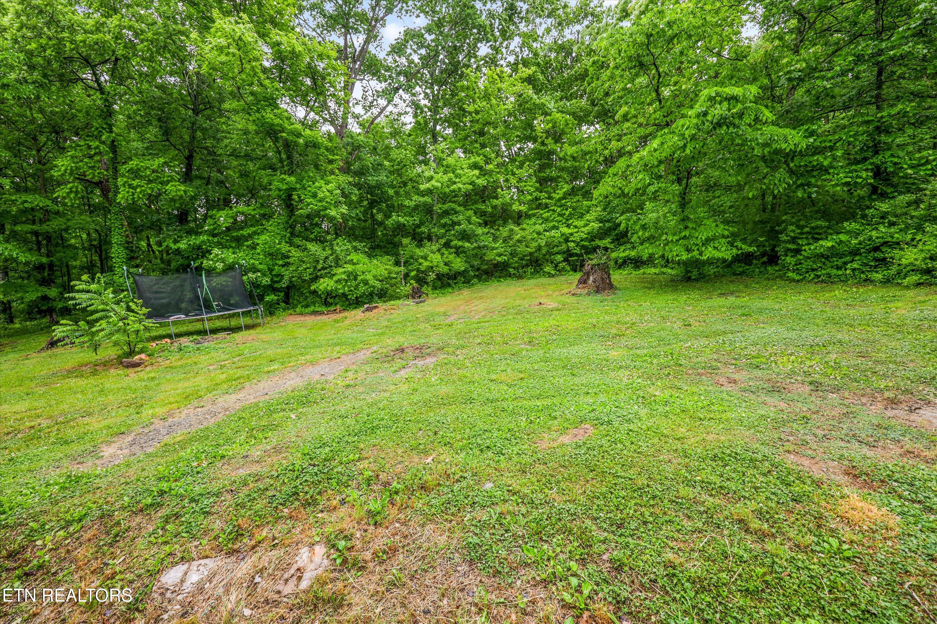 2335 Southside Road Knoxville, TN 37920 - Photo 37 of 39 34-2335 Southside Rd24
