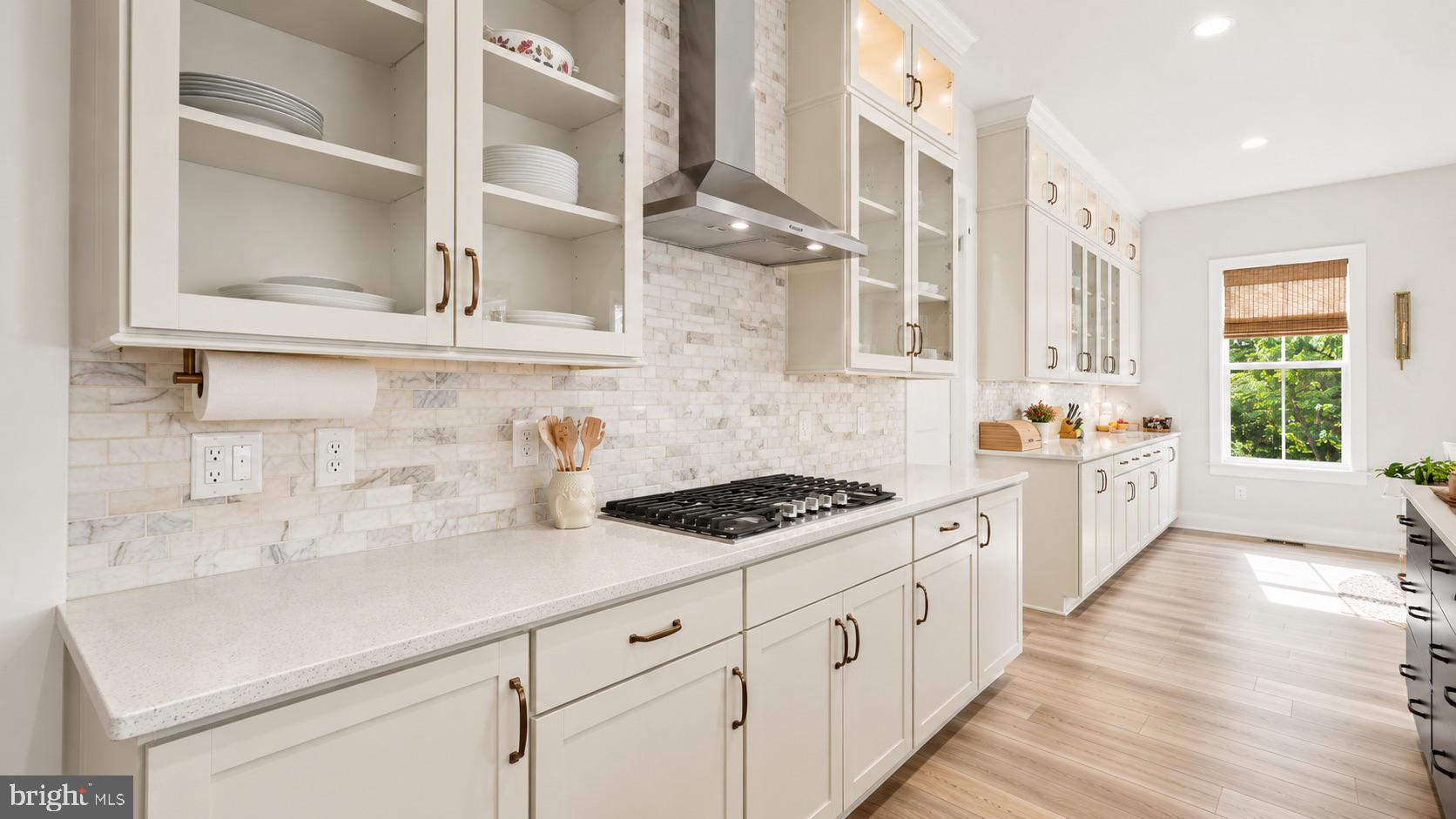 23609 Roselle Ridge Lane Aldie, VA 20105 - Photo 28 of 75 Modern kitchen with elegant finishes.