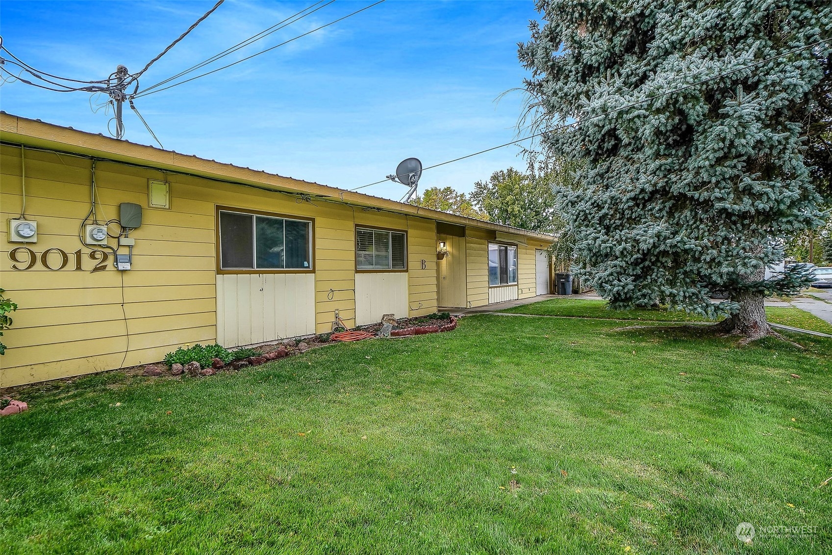 a view of a backyard with plants and a patio