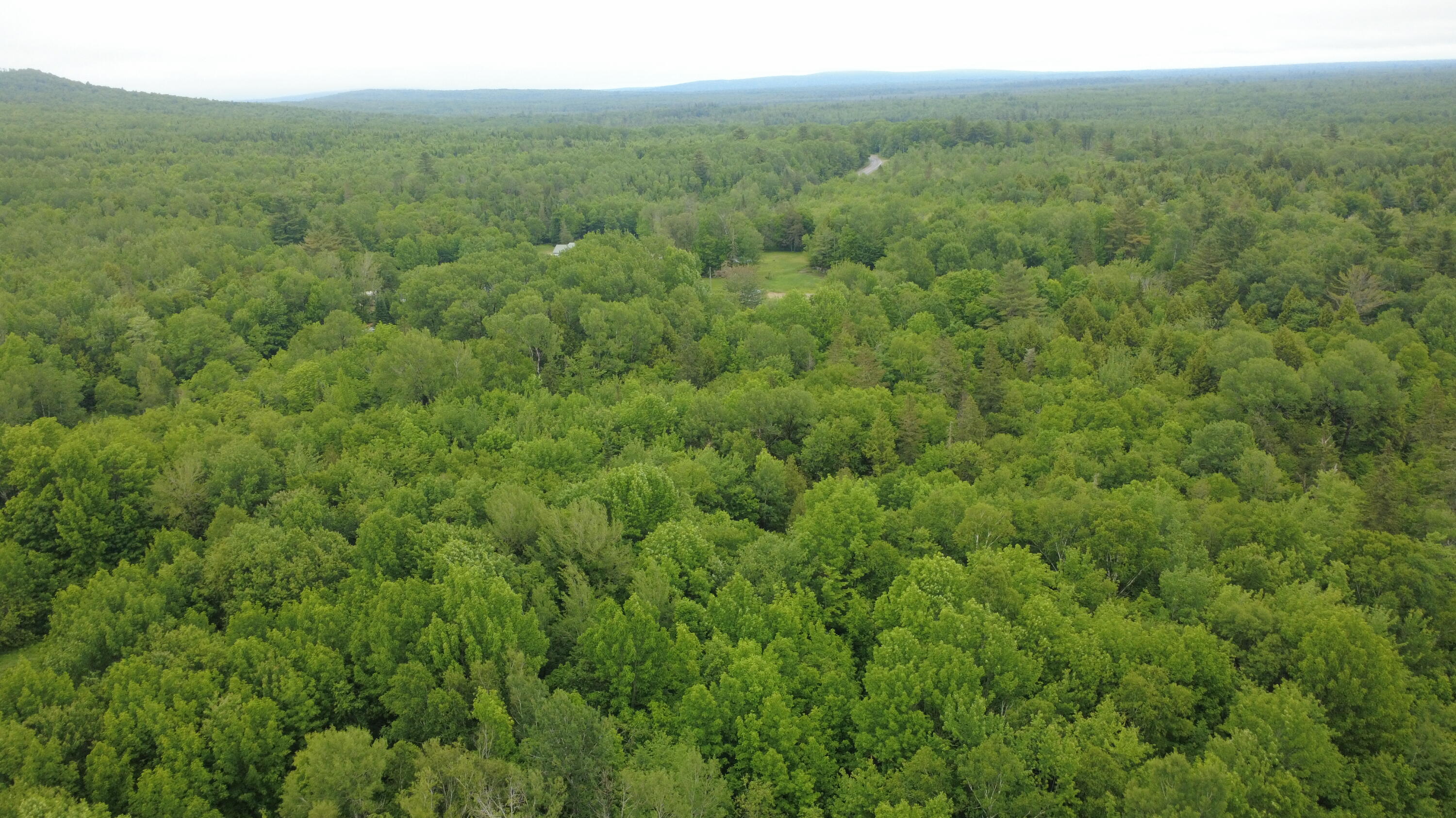 Lot 19 Old Codyville Road Lambert Lake, ME 04454 - Photo 11 of 17 Aerial