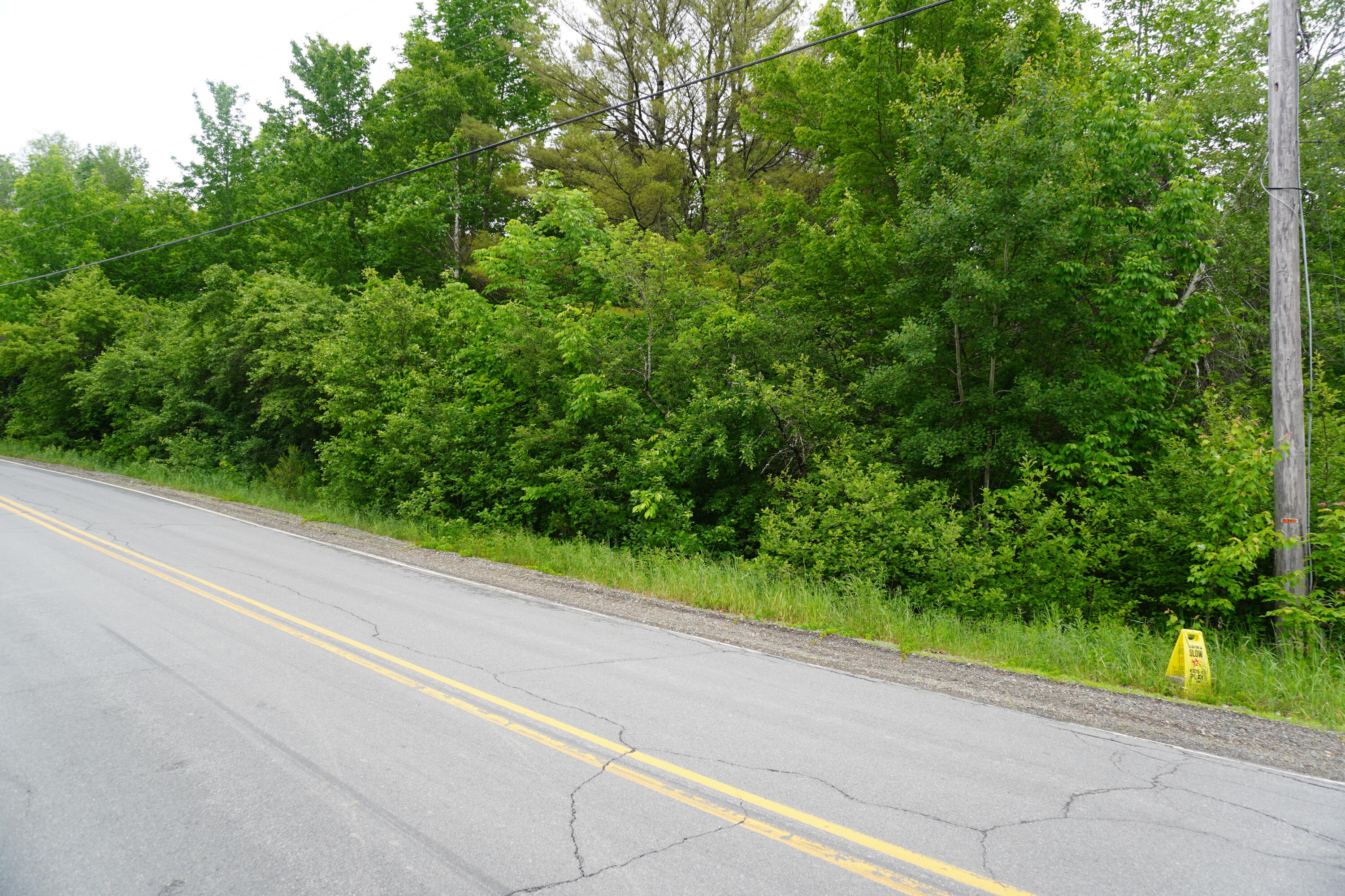 Lot 19 Old Codyville Road Lambert Lake, ME 04454 - Photo 4 of 17 Land