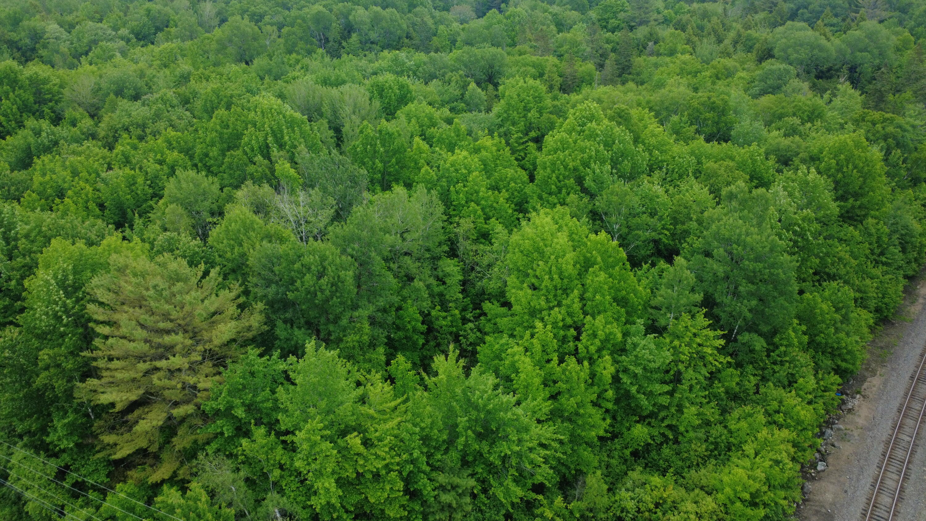Lot 19 Old Codyville Road Lambert Lake, ME 04454 - Photo 9 of 17 Aerial