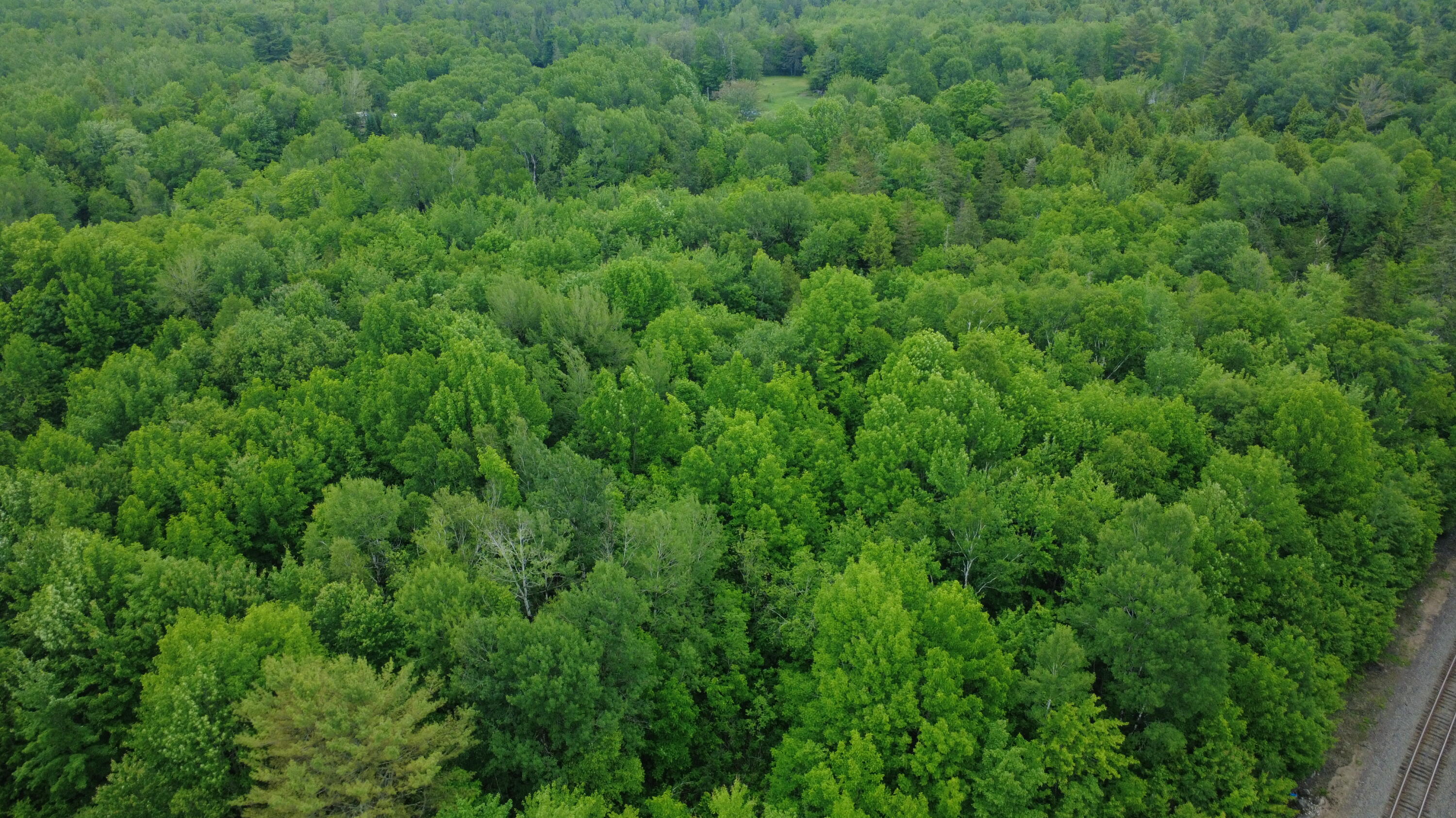 Lot 19 Old Codyville Road Lambert Lake, ME 04454 - Photo 10 of 17 Aerial