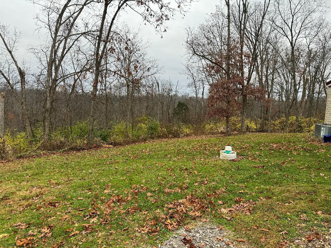 345 Delaney Road Brooksville, KY 41004 - Photo 28 of 41 Gallery Image 28