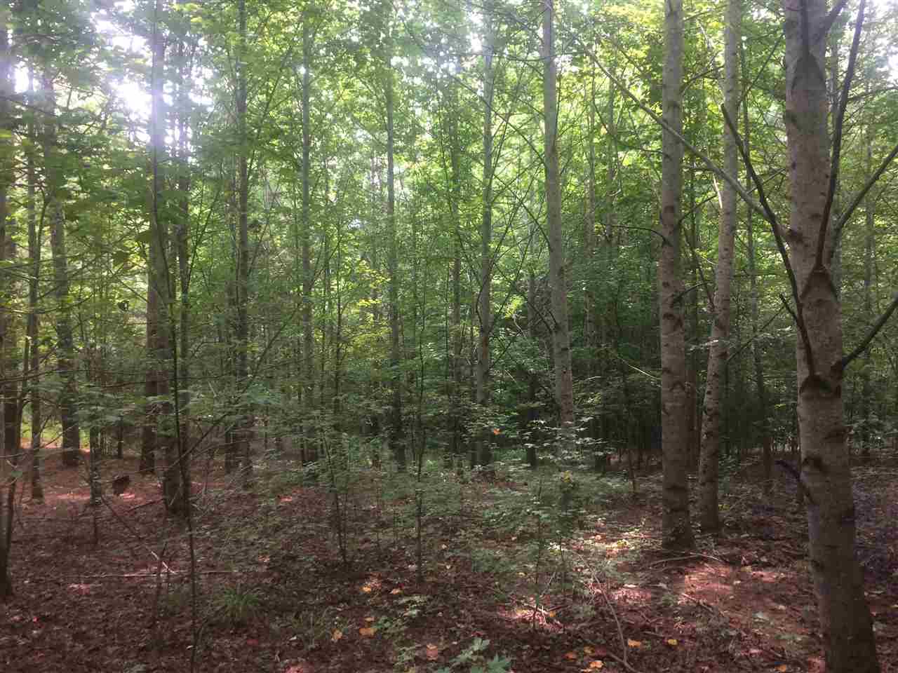 Bethel Purdy Road Selmer, TN 38375 - Photo 3 of 8 Gallery Image 3