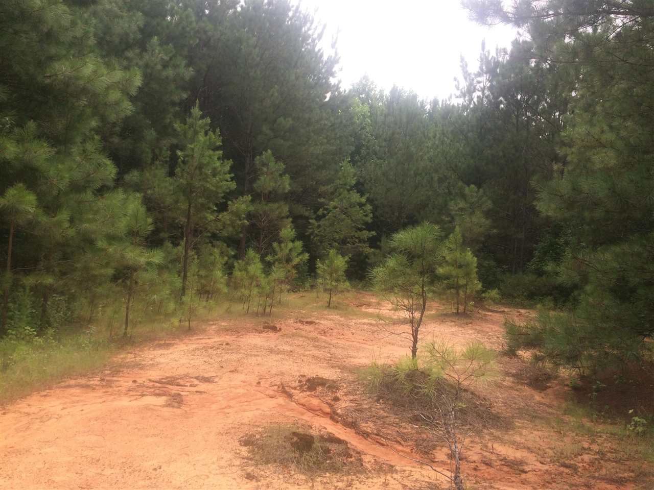 Bethel Purdy Road Selmer, TN 38375 - Photo 4 of 8 Gallery Image 4