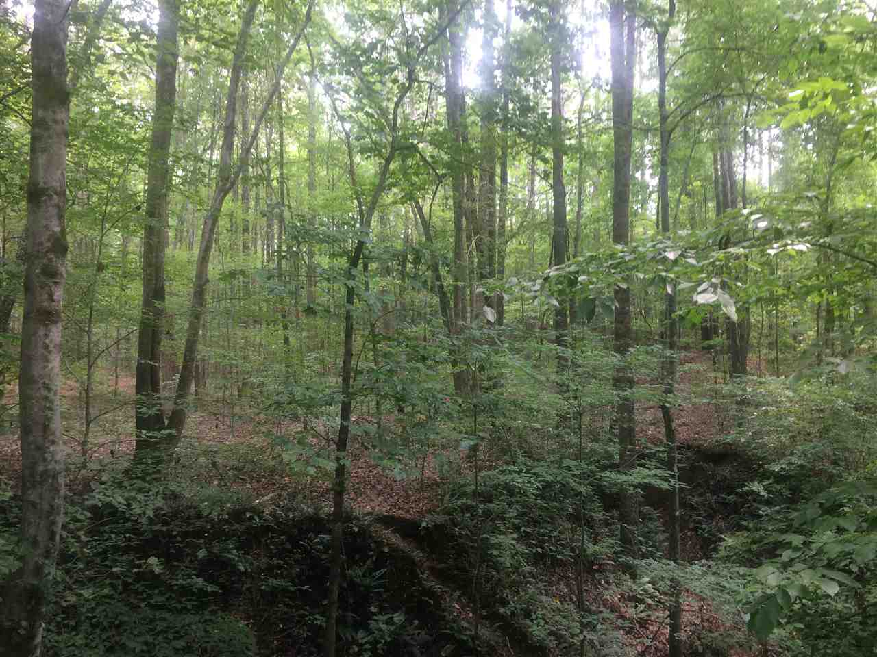 Bethel Purdy Road Selmer, TN 38375 - Photo 5 of 8 Gallery Image 5