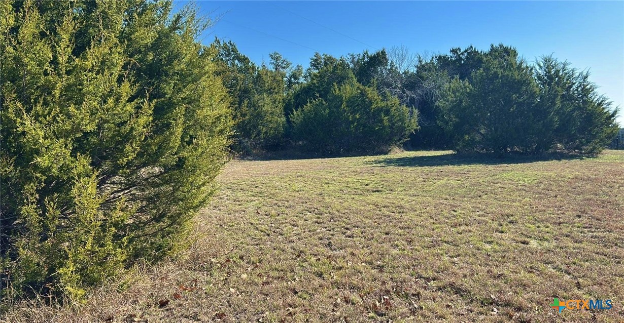 3301 Eagle Ridge Drive Harker Heights, TX 76548 - Photo 1 of 8 a view of a yard with trees