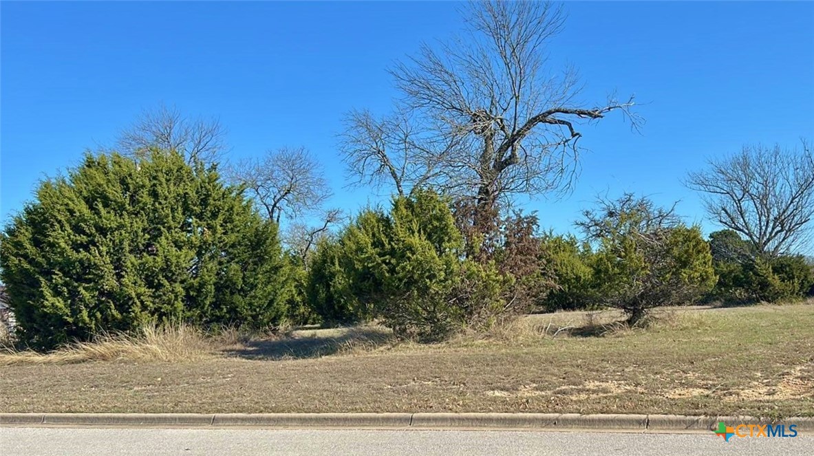3301 Eagle Ridge Drive Harker Heights, TX 76548 - Photo 2 of 8 a view of a yard