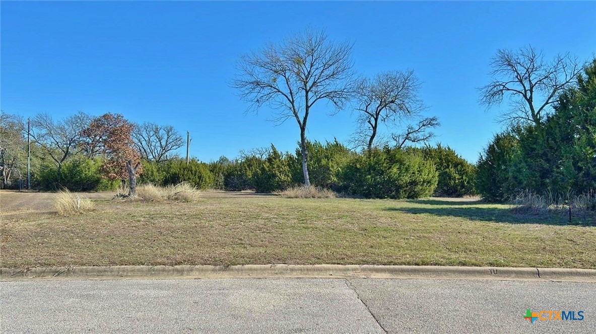 3301 Eagle Ridge Drive Harker Heights, TX 76548 - Photo 4 of 8 a view of a yard with a tree