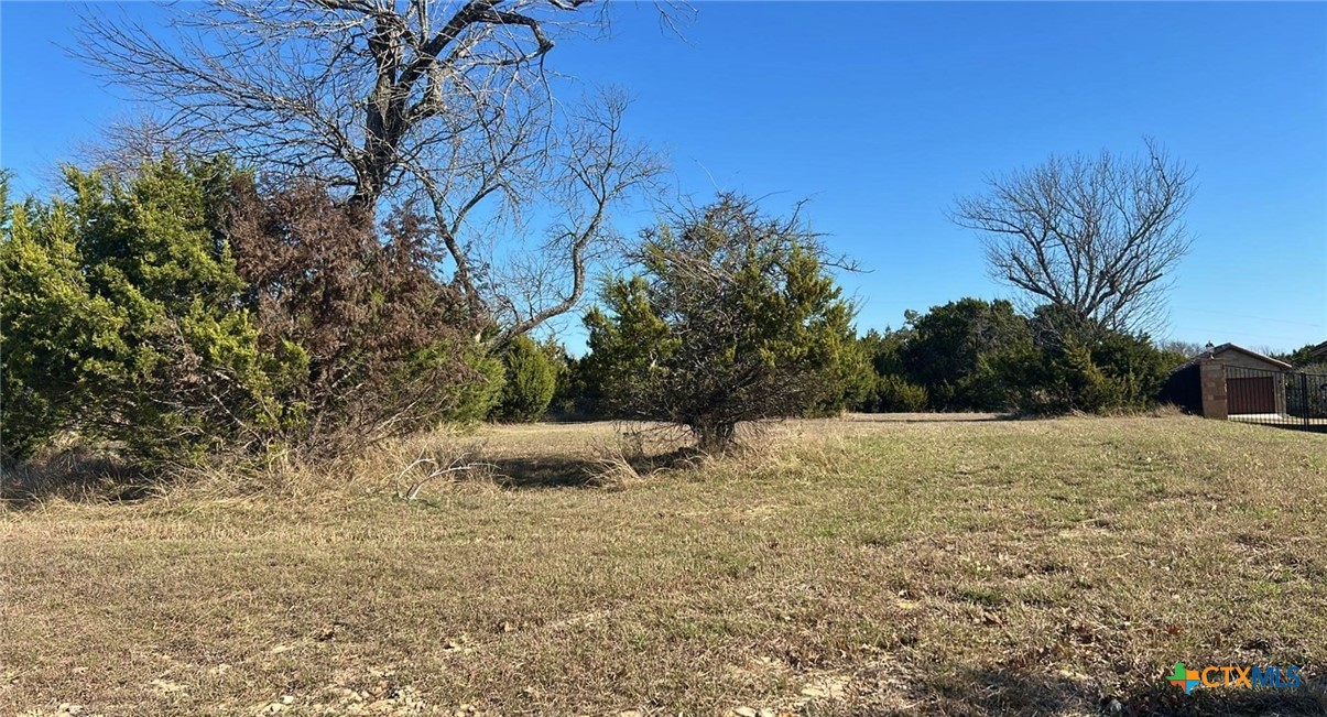 3301 Eagle Ridge Drive Harker Heights, TX 76548 - Photo 6 of 8 a view of outdoor space and yard