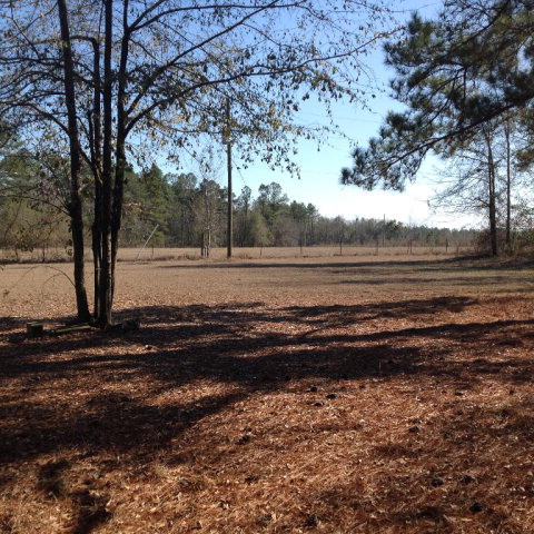 862 Hancock Landing Road Waynesboro, GA 30830 - Photo 6 of 9