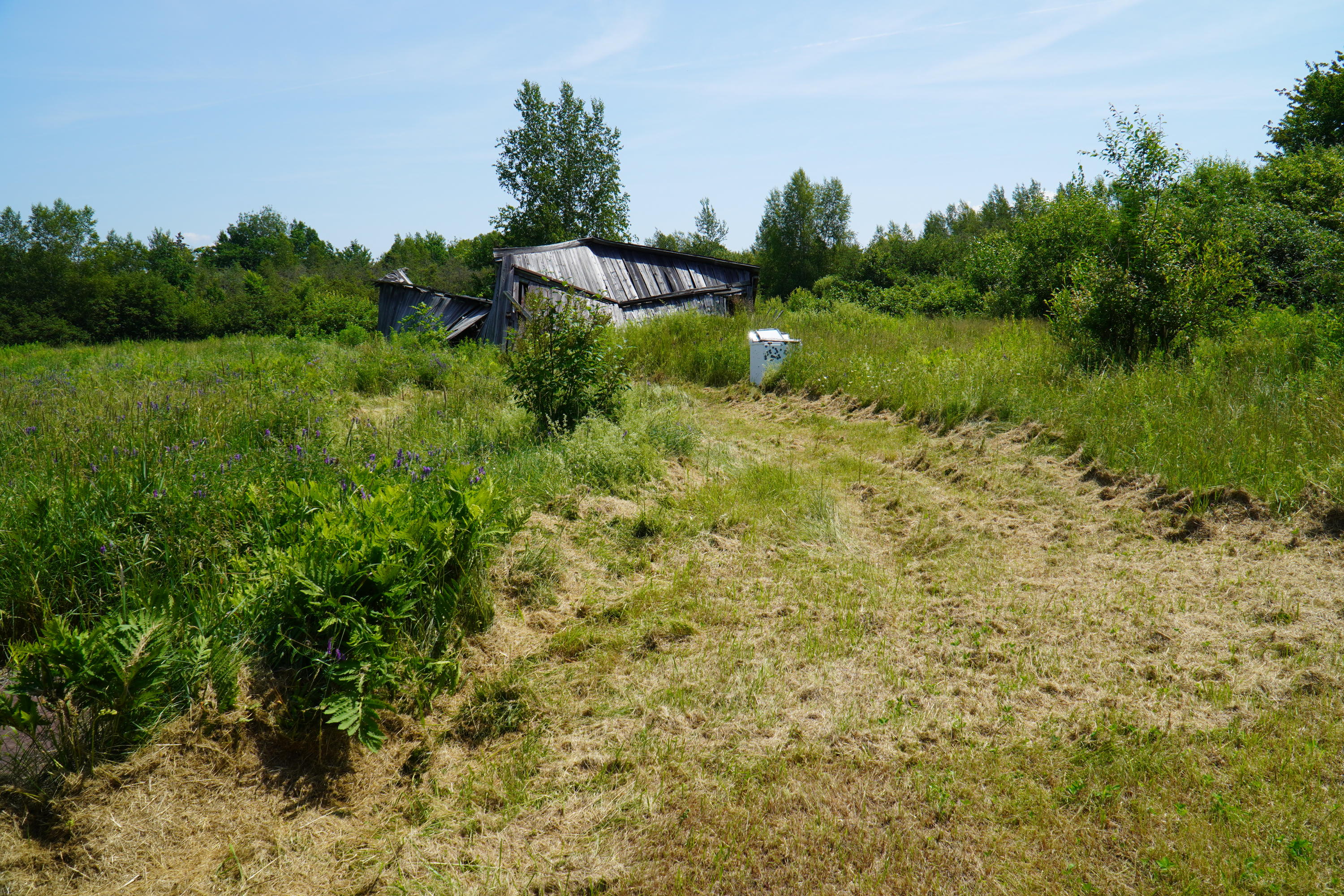 298 Selden Road Weston, ME 04424 - Photo 10 of 28 DSC00012