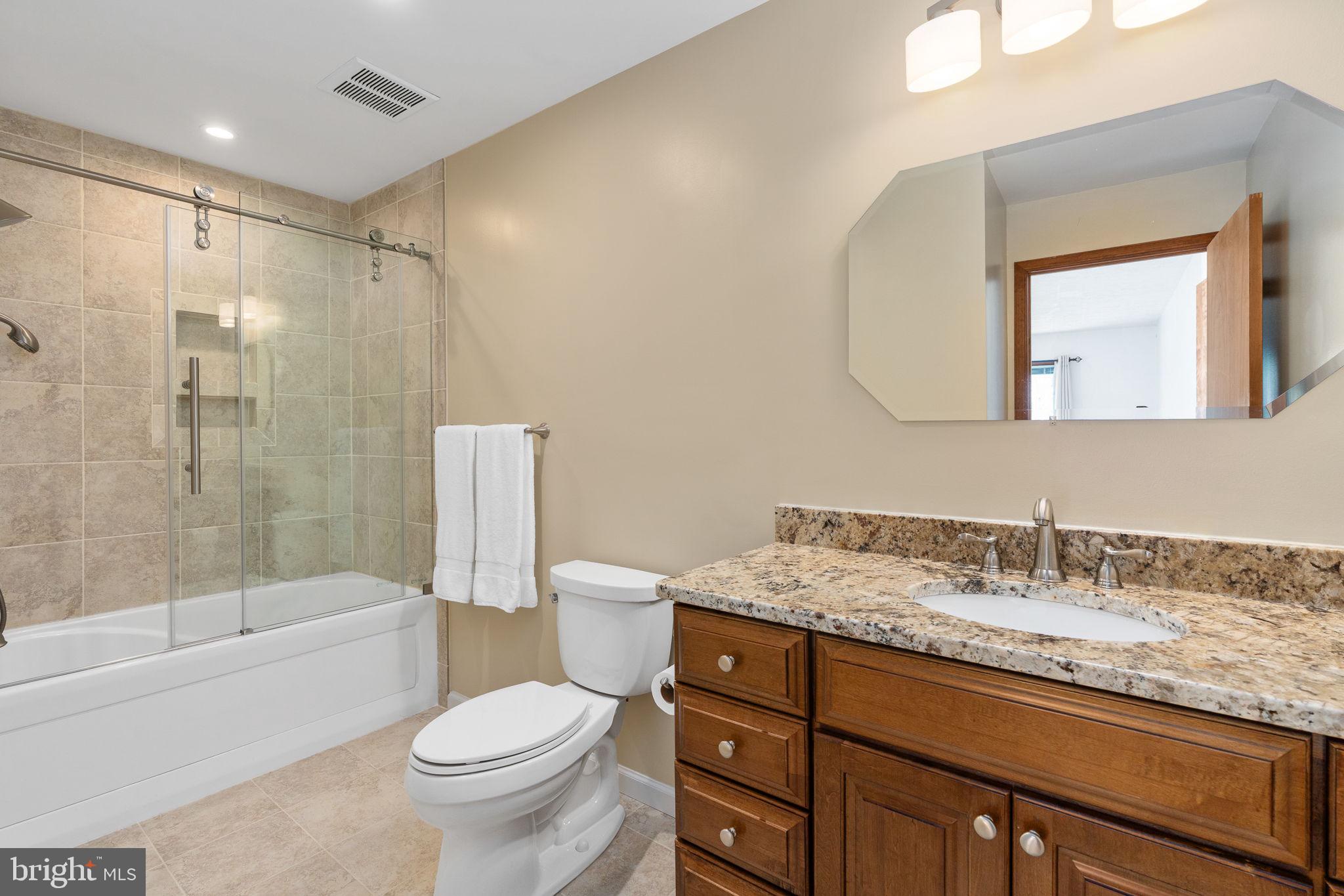 100 Pleasant Grove Road Locust Grove, VA 22508 - Photo 20 of 32 Primary Bathroom -
Jacuzzi Tub & Shower
