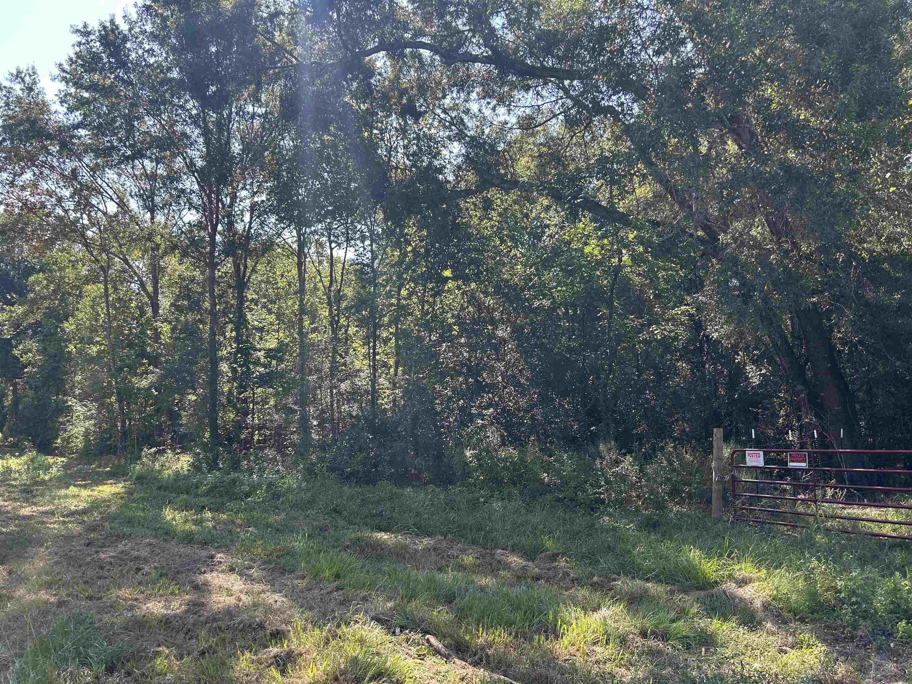 0 McGuire Road Liberty, TX 77575 - Photo 3 of 40