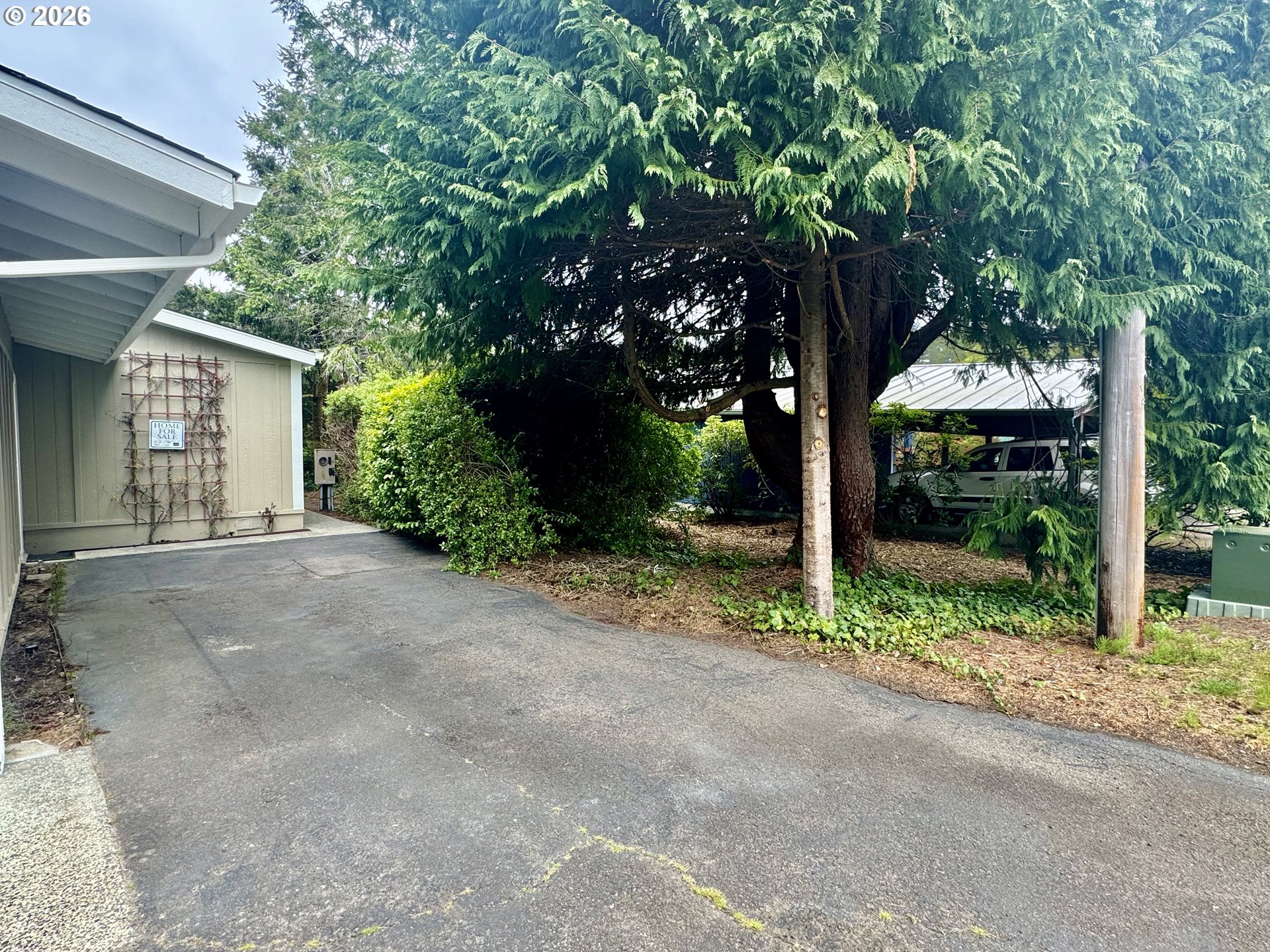 1600 Rhododendron Drive, Unit 245 Florence, OR 97439 - Photo 40 of 47 a view of a house with a tree and plants