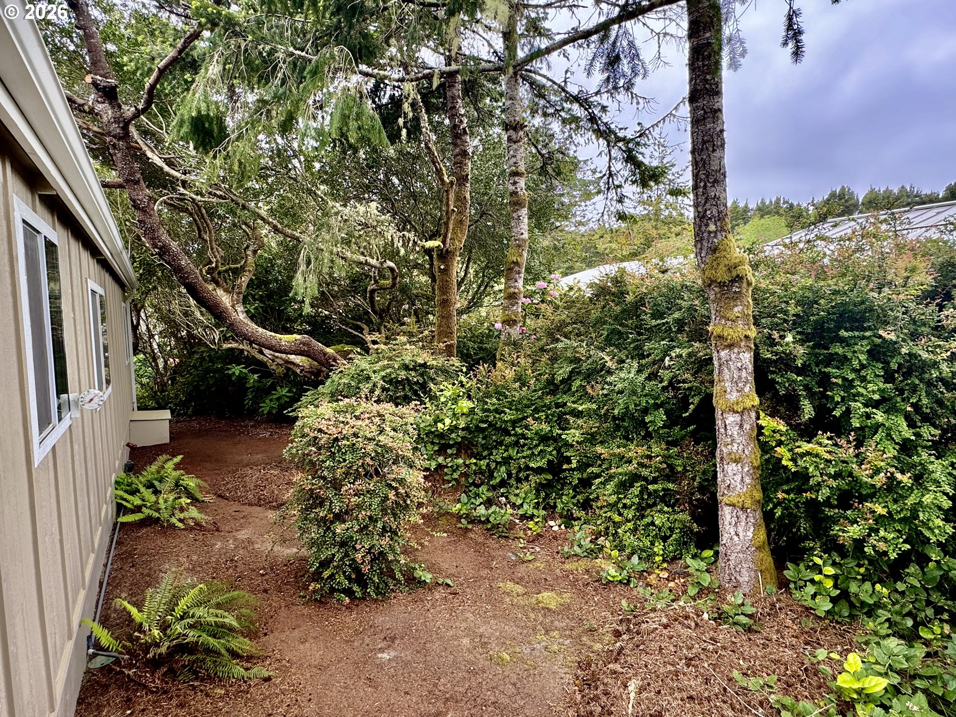 1600 Rhododendron Drive, Unit 245 Florence, OR 97439 - Photo 44 of 47 a view of a yard with plants