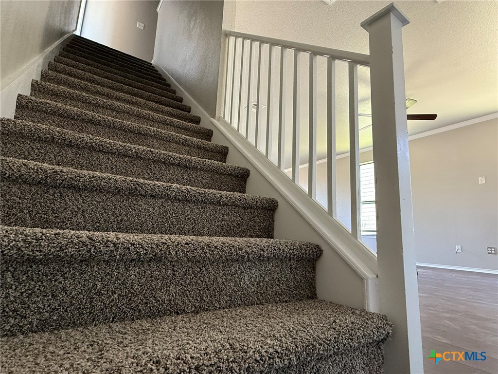 8716 Starview Street Temple, TX 76502 - Photo 10 of 20 a view of entryway