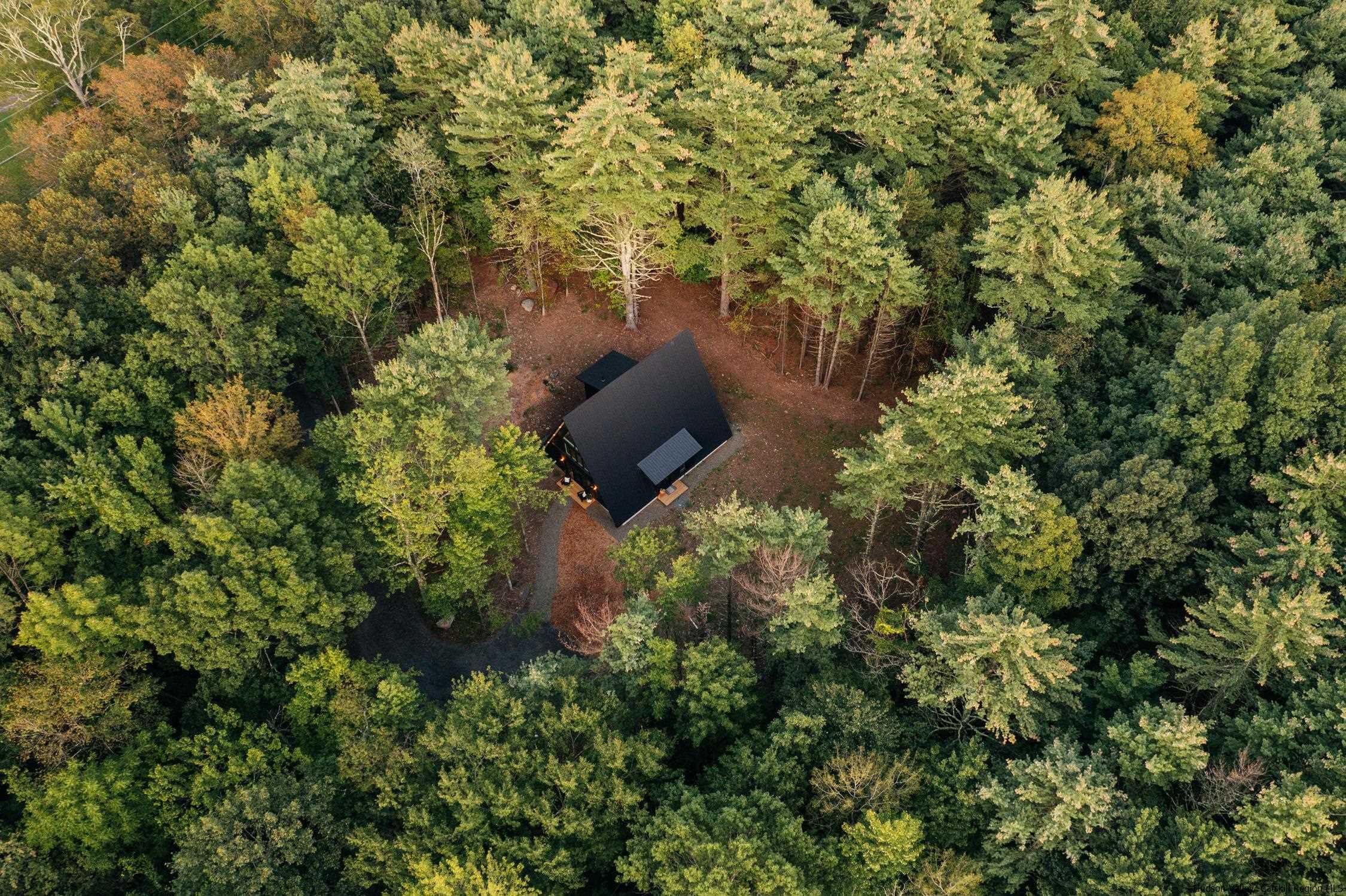 305 Hearts Content Road Round Top, NY 12473 - Photo 3 of 32 Photo 3