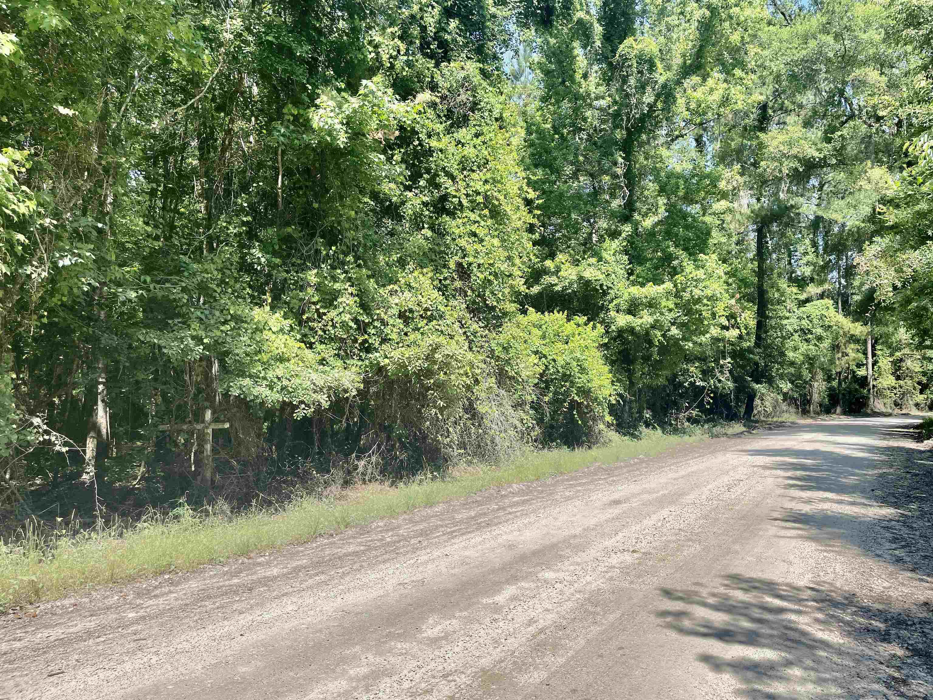Seven 7 Bridges Road Monticello, FL 32344 - Photo 3 of 21