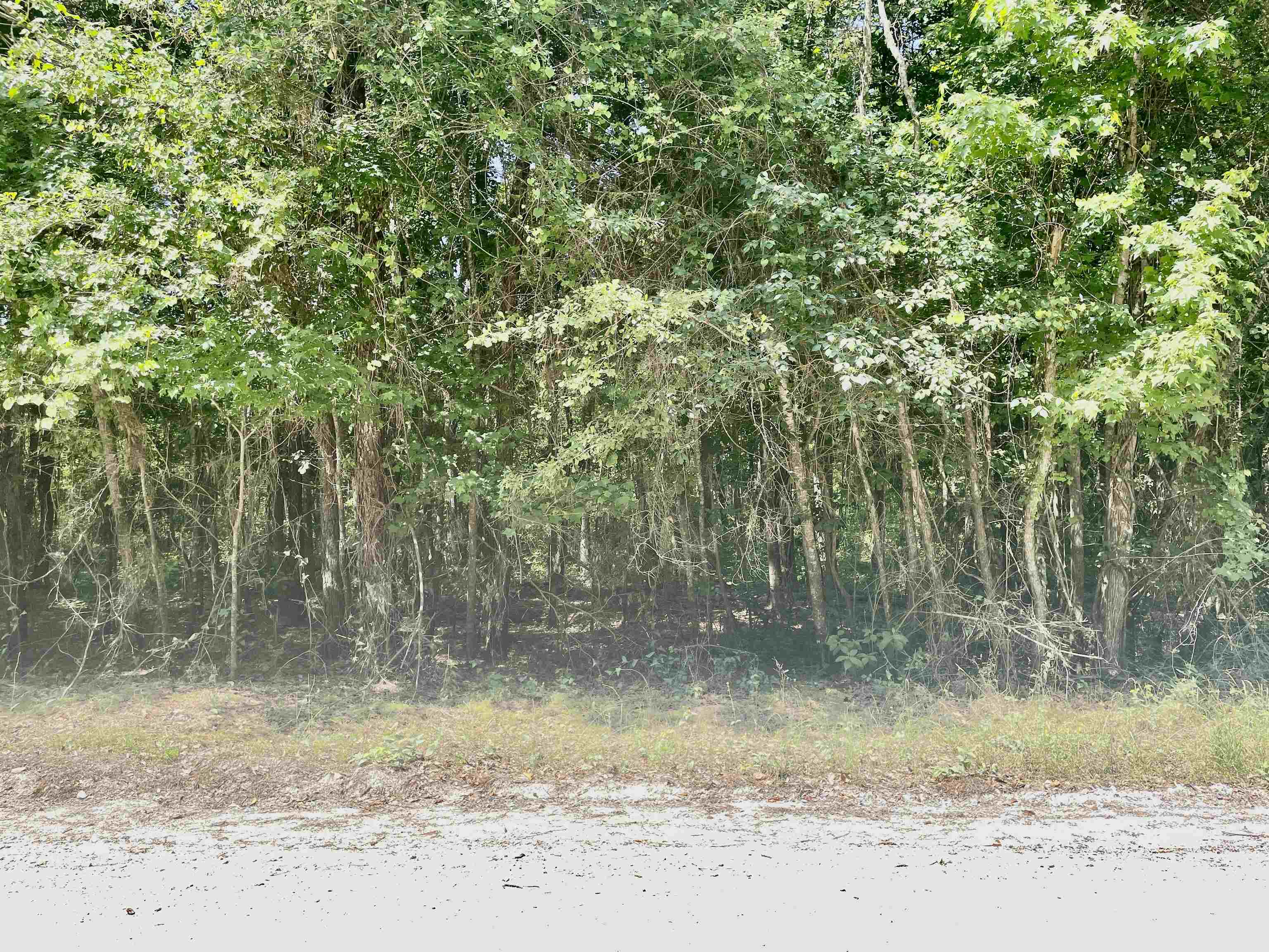 Seven 7 Bridges Road Monticello, FL 32344 - Photo 9 of 21