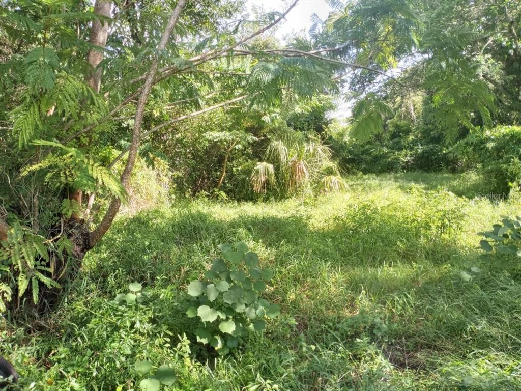 4022 Shellman Street Orlando, FL 32811 - Photo 16 of 20