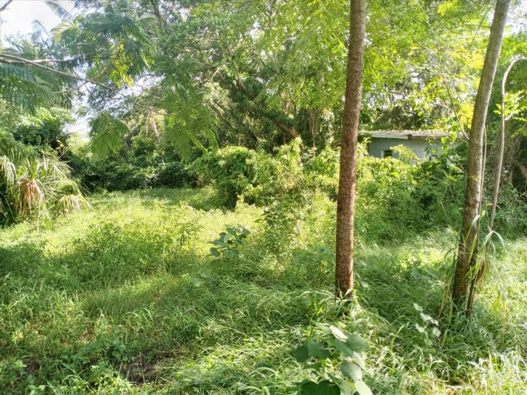 4022 Shellman Street Orlando, FL 32811 - Photo 17 of 20