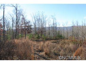 2 NORTH Pkwy Mill Spring, Unit 2 Mill Spring, NC 28756 - Photo 3 of 10