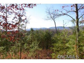 2 NORTH Pkwy Mill Spring, Unit 2 Mill Spring, NC 28756 - Photo 4 of 10