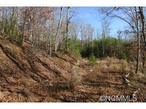 2 NORTH Pkwy Mill Spring, Unit 2 Mill Spring, NC 28756 - Photo 5 of 10