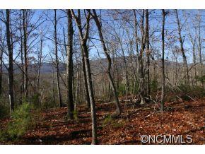 2 NORTH Pkwy Mill Spring, Unit 2 Mill Spring, NC 28756 - Photo 8 of 10