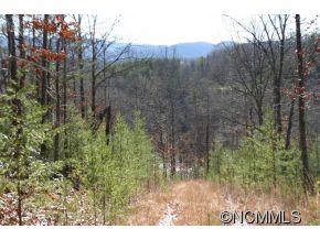 2 NORTH Pkwy Mill Spring, Unit 2 Mill Spring, NC 28756 - Photo 9 of 10